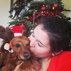 Meet your Posher, Liz